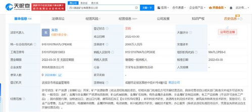 四川路橋比亞迪合資礦業(yè)公司注銷(xiāo) 跨界合作落幕，互聯(lián)網(wǎng)銷(xiāo)售模式下的礦業(yè)轉(zhuǎn)型反思