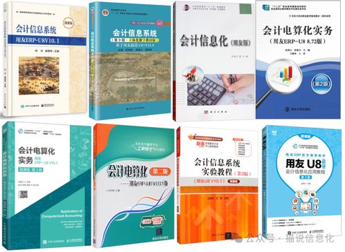 從專業書籍視角，洞察國內外ERP軟件廠商的生態差異與互聯網銷售影響